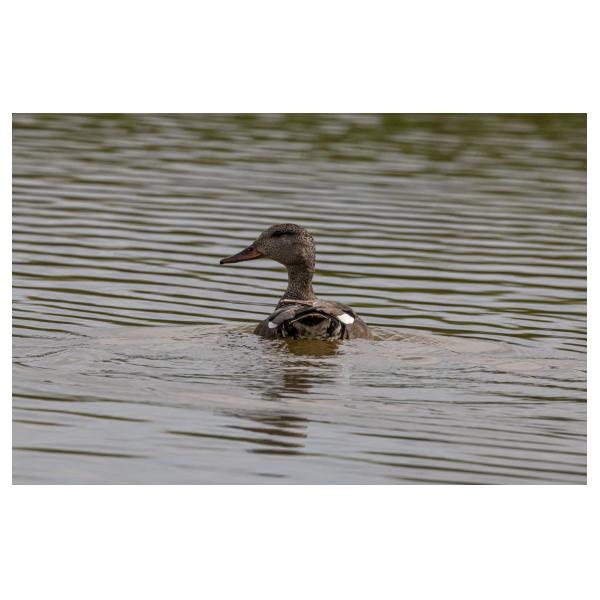 PHOTO84, CLUB, 84 , LUBERON